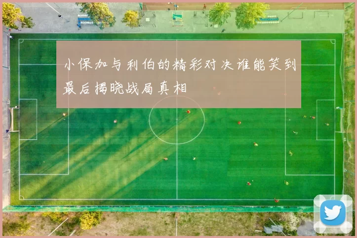 小保加与利伯的精彩对决谁能笑到最后揭晓战局真相